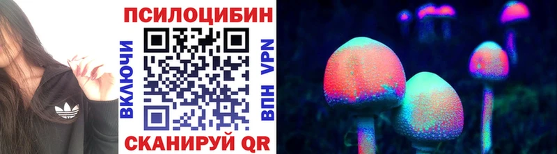 Галлюциногенные грибы Cubensis  магазин продажи   Вологда 
