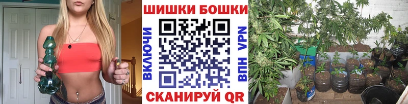 наркошоп  Вологда  Бошки Шишки THC 21% 